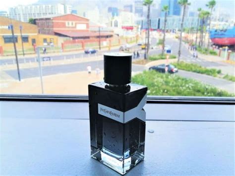 bold scent of ysl y review.